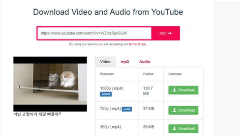 Is Ssyoutube.com Safe And Legit To Download YouTube Videos.